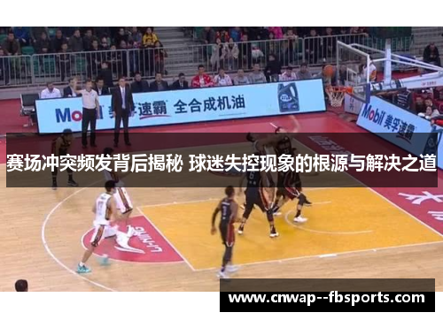 赛场冲突频发背后揭秘 球迷失控现象的根源与解决之道