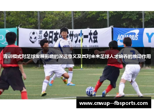 青训模式对足球发展影响的深远意义及其对未来足球人才培养的推动作用