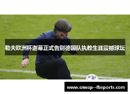 勒夫欧洲杯谢幕正式告别德国队执教生涯震撼球坛